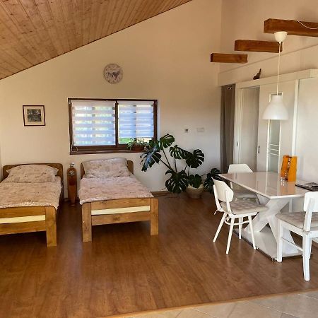 Apartman V Podhuri Jizerskych Hor Zelezny Brod Luaran gambar