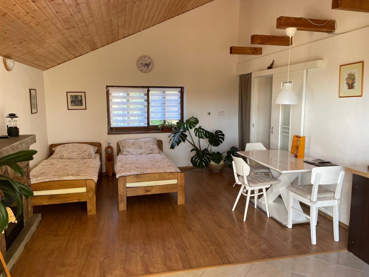 Apartman V Podhuri Jizerskych Hor Zelezny Brod Luaran gambar