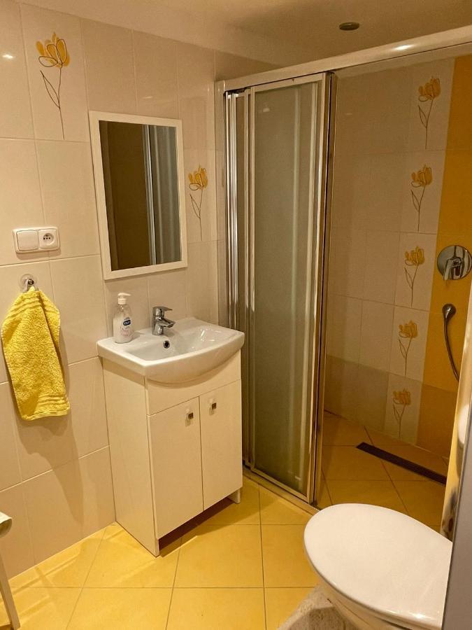 Apartman V Podhuri Jizerskych Hor Zelezny Brod Luaran gambar